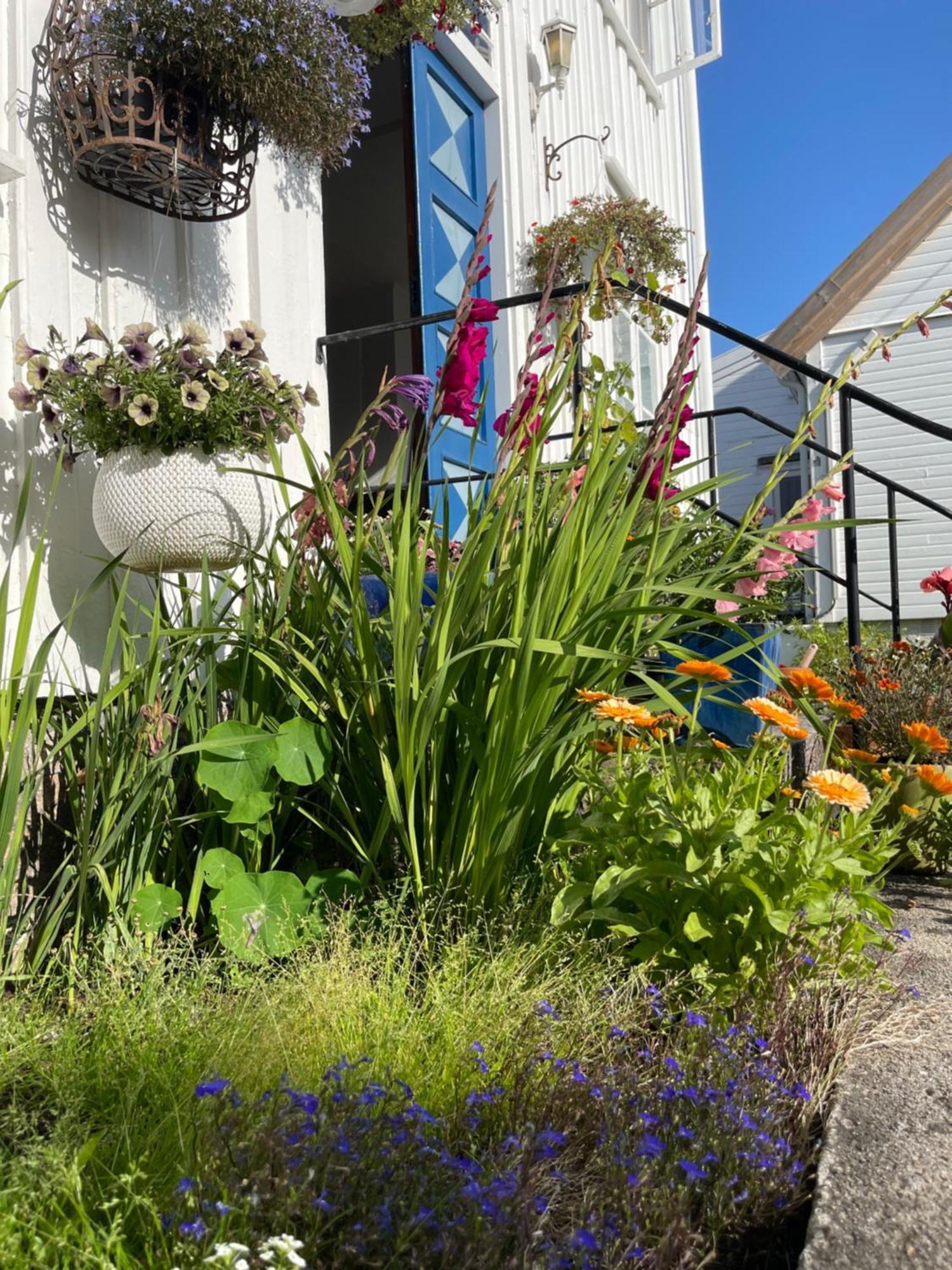 Sommerdrom I Sor Mandal Exterior photo