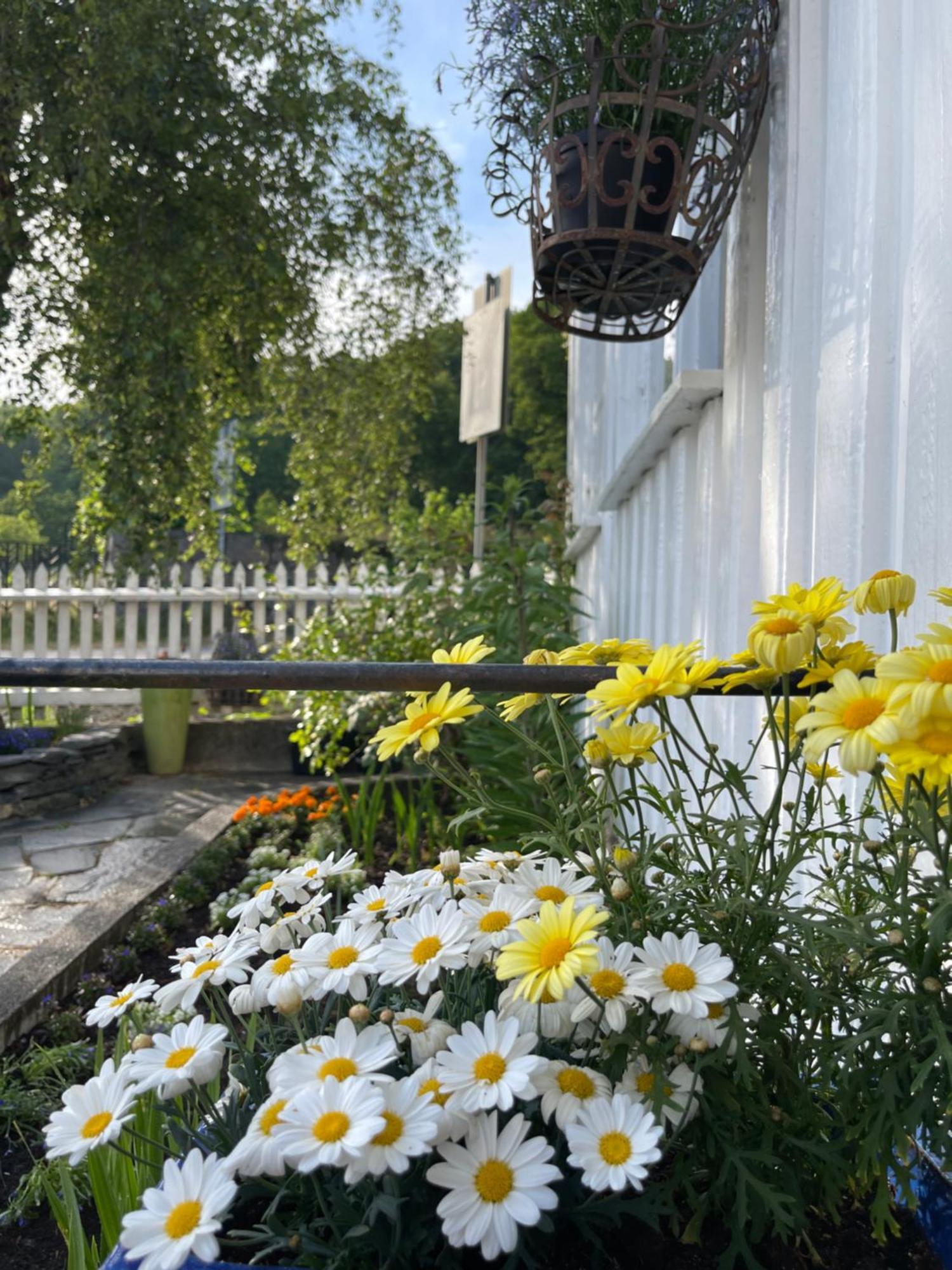 Sommerdrom I Sor Mandal Exterior photo
